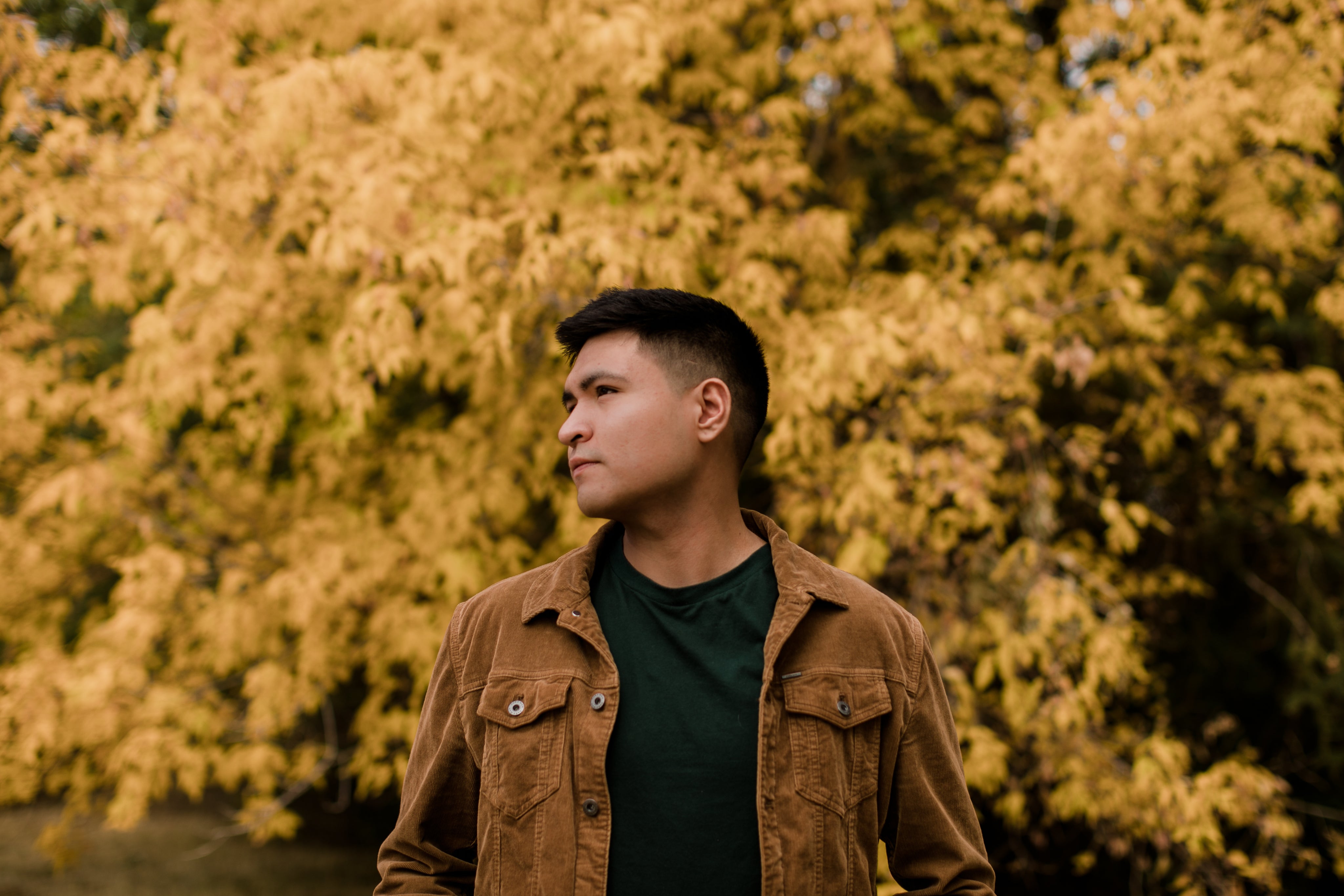 <em>Luis R.</em>